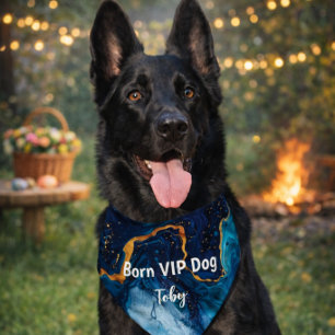 Born VIP Dog Gift for Stylish Dogs Pet Bandana Collar