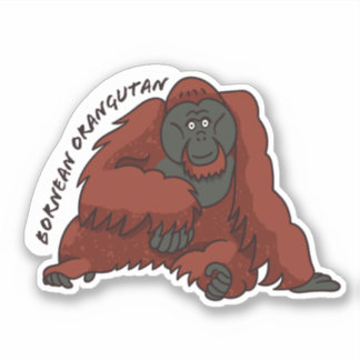 "Bornean Orangutan" Sticker