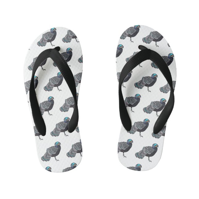 Bornean peacock-pheasant bird cartoon illustration kid's flip flops (Footbed)