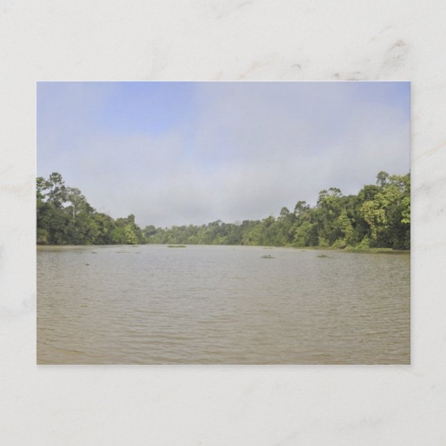 Borneo Island, Malaysia, panoramic view Postcard (Front)