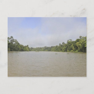Borneo Island, Malaysia, panoramic view Postcard