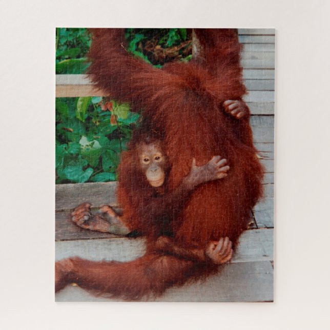 Borneo orangutan 520-pc jigsaw puzzle (Vertical)