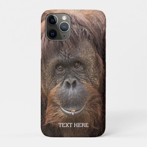 Borneo Orangutan Beautiful Photography iPhone 11 Pro Case