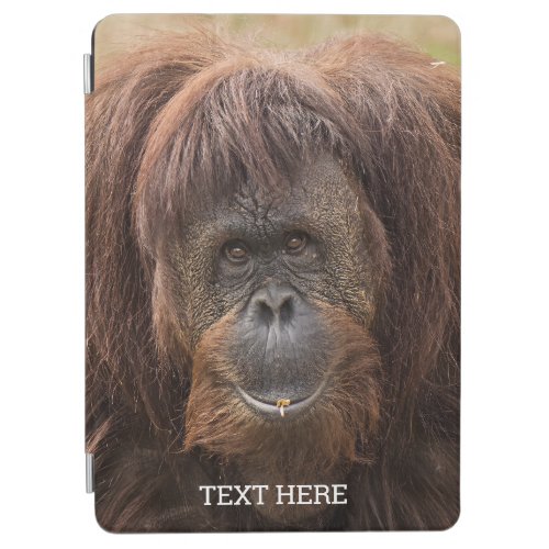 Borneo Orangutan Beautiful Photography iPad Air Cover