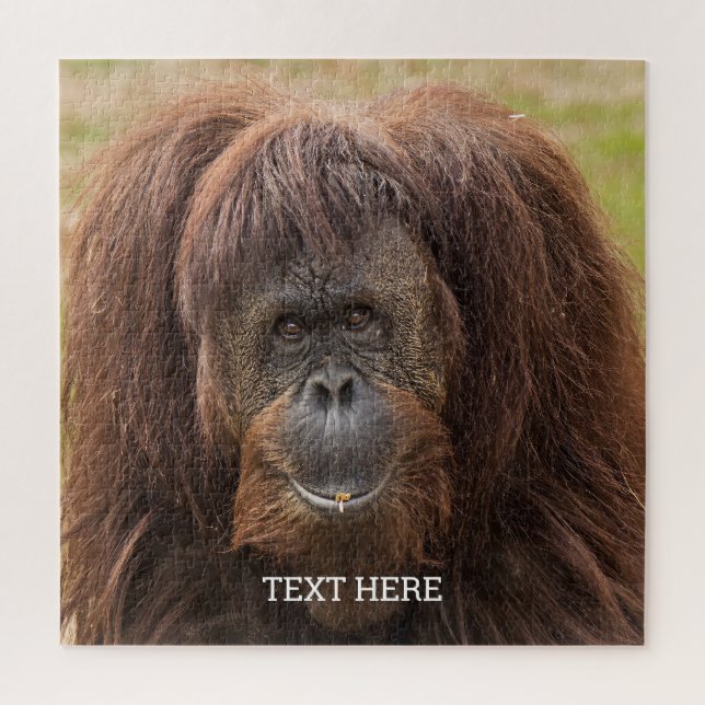 Borneo Orangutan Beautiful Photography Jigsaw Puzzle (Vertical)