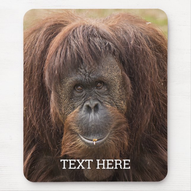 Borneo Orangutan Beautiful Photography Mouse Pad (Front)
