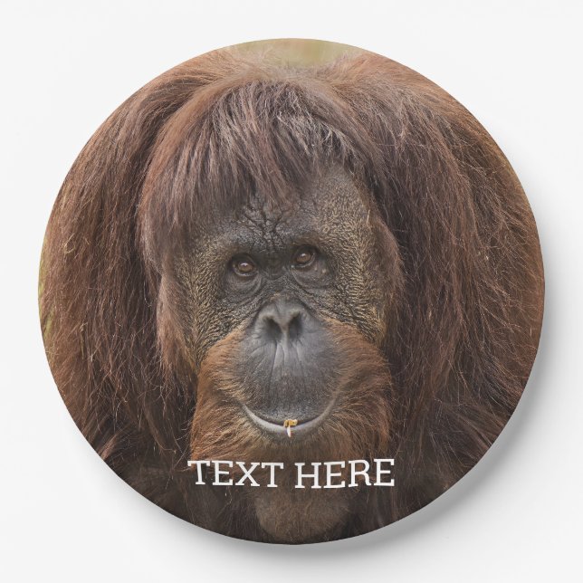 Borneo Orangutan Beautiful Photography Paper Plates (Front)