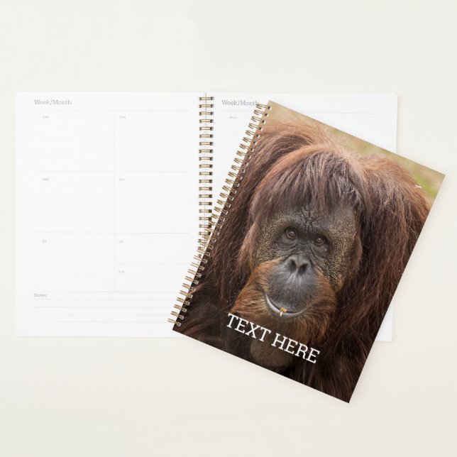 Borneo Orangutan Beautiful Photography Planner (Display)