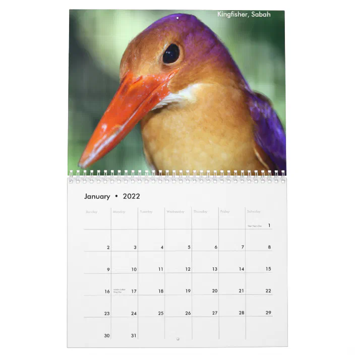 Borneo Rainforest Animals Calendar | Zazzle.com