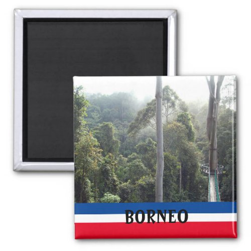 Borneo Rainforest Jungle Scenic Souvenir Photo Magnet