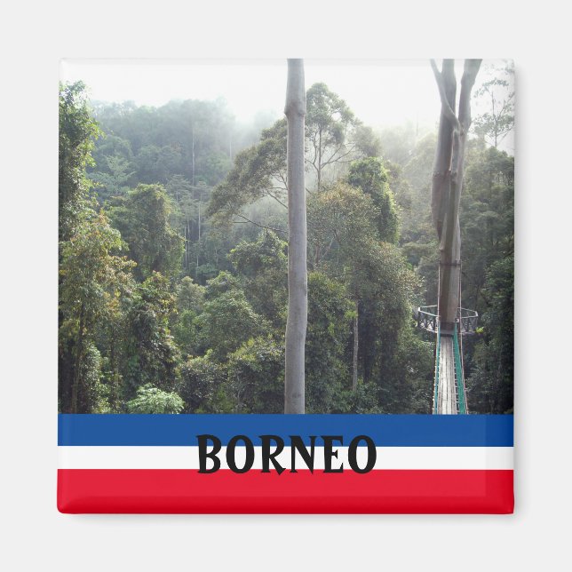 Borneo Rainforest Jungle Scenic Souvenir Photo Magnet (Front)