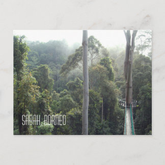 Borneo Rainforest Jungle Treetops Landscape Photo Postcard