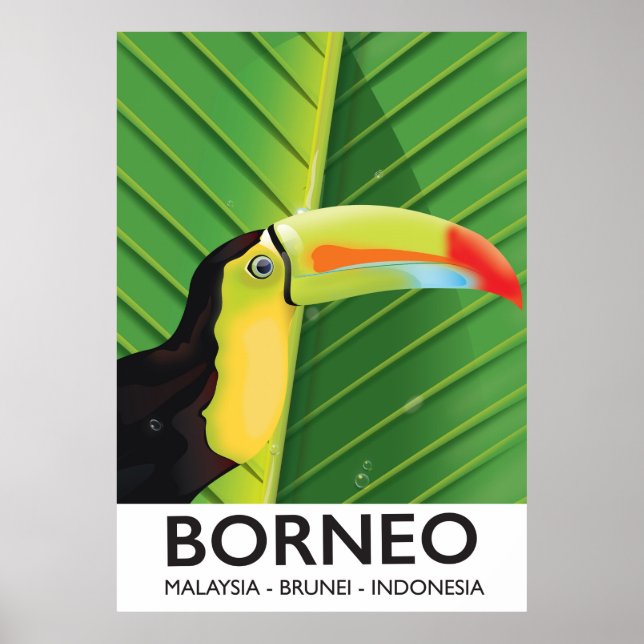 Borneo Toucan travel poster (Front)