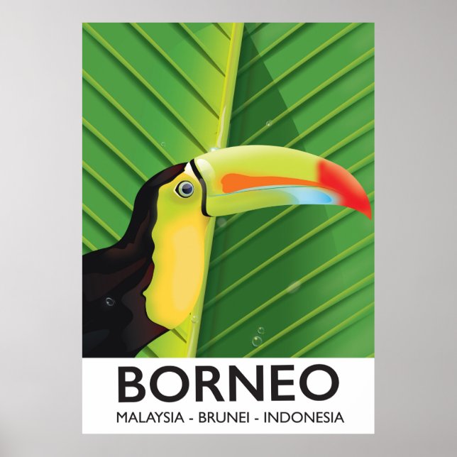 Borneo Toucan travel poster (Front)