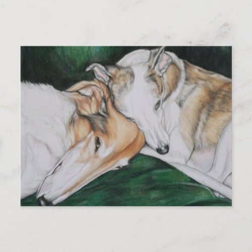 Boroi and Whippet Dlog Art Postcard