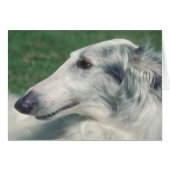 Borzoi (Front Horizontal)