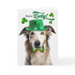 Borzoi
