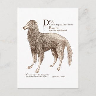 Borzoi - nuts postcard