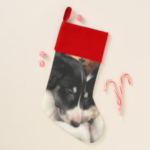Borzoi Puppies Christmas Stocking