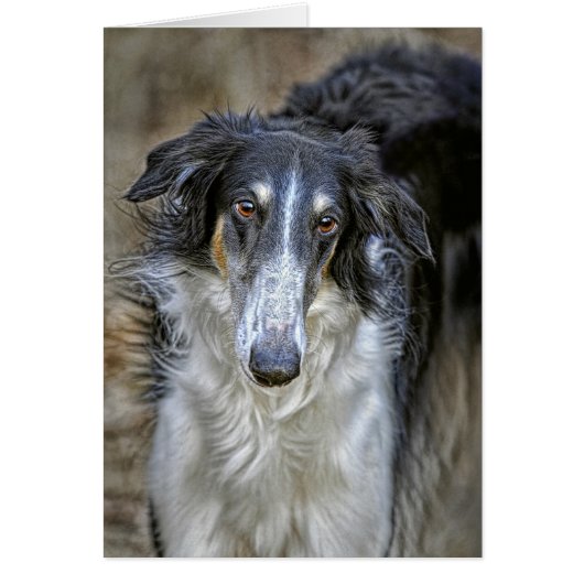 Borzoi Rescue Dog Cards (Front)