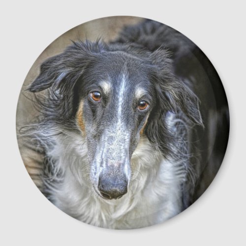 Borzoi Rescue Dog Magnet