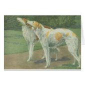 Borzoi (Russian Wolfhound) (Front Horizontal)