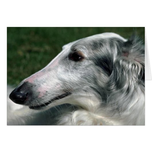 Borzoi, Russian Wolfhound Cards (Front Horizontal)
