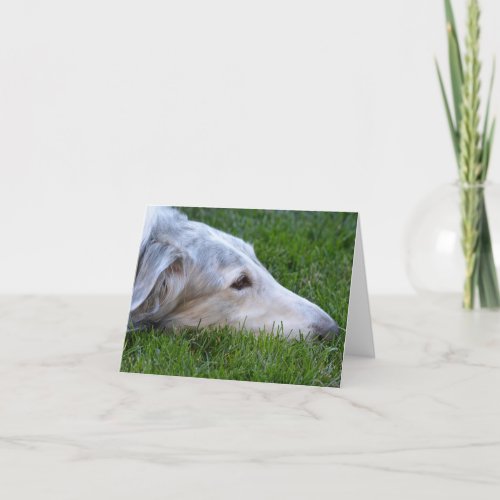 Borzoi Russian Wolfhound Dog Art Greeting Card