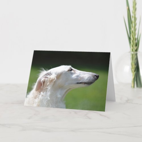 Borzoi Russian Wolfhound Dog Photo Greeting Card