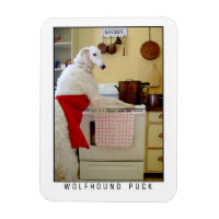 Borzoi Russian Wolfhound "Wolfhound Puck" Dog