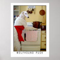 Borzoi Russian Wolfhound "Wolfhound Puck" Dog