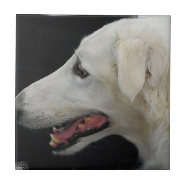 Borzoi Tile (Front)