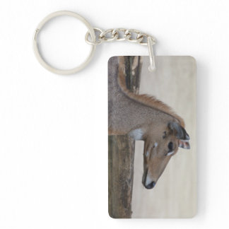 Boselaphus tragocamelus keychain