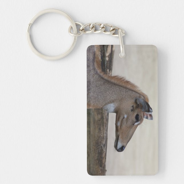 Boselaphus tragocamelus keychain (Front)
