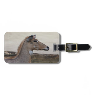 Boselaphus tragocamelus luggage tag