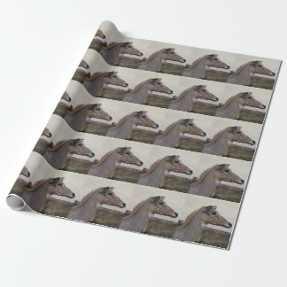 Boselaphus tragocamelus wrapping paper