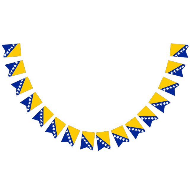 Bosnia and Herzegovina Flag (All)