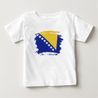 Bosnia and Herzegovina flag