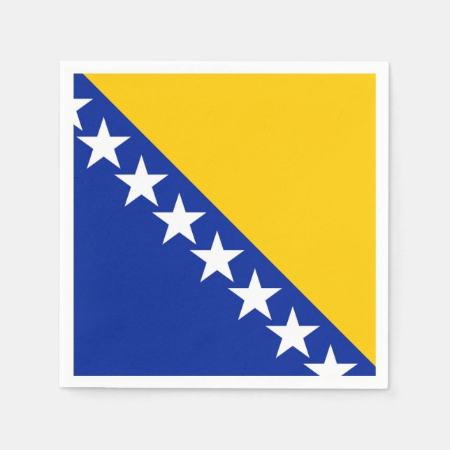 Bosnia and Herzegovina Flag Napkins (Front)