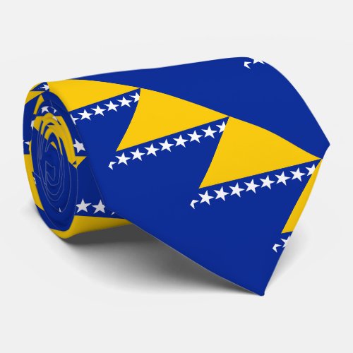 Bosnia and Herzegovina Flag Neck Tie