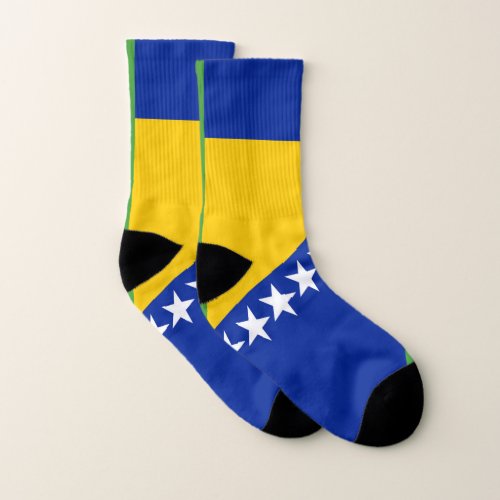 Bosnia and Herzegovina Flag Socks