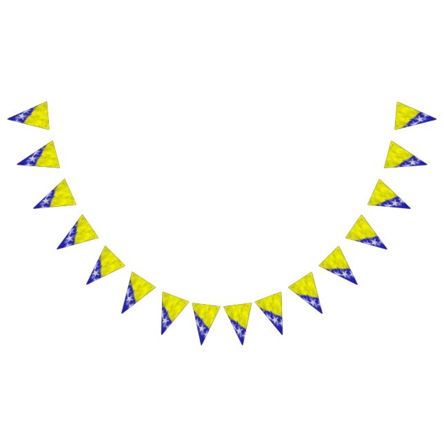 Bosnia and Herzegovina Oil Painting Drawing Bunting Flags (All)