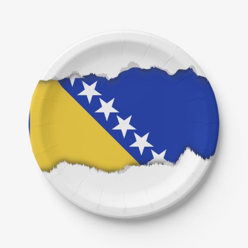 Bosnia Flag Paper Plates