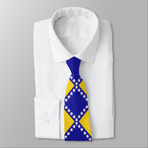 Bosnia flag pattern neck tie