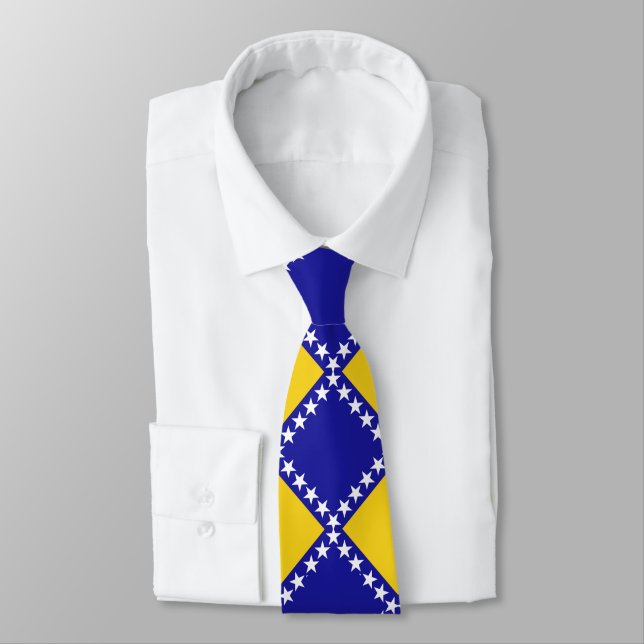 Bosnia flag pattern neck tie (Tied)