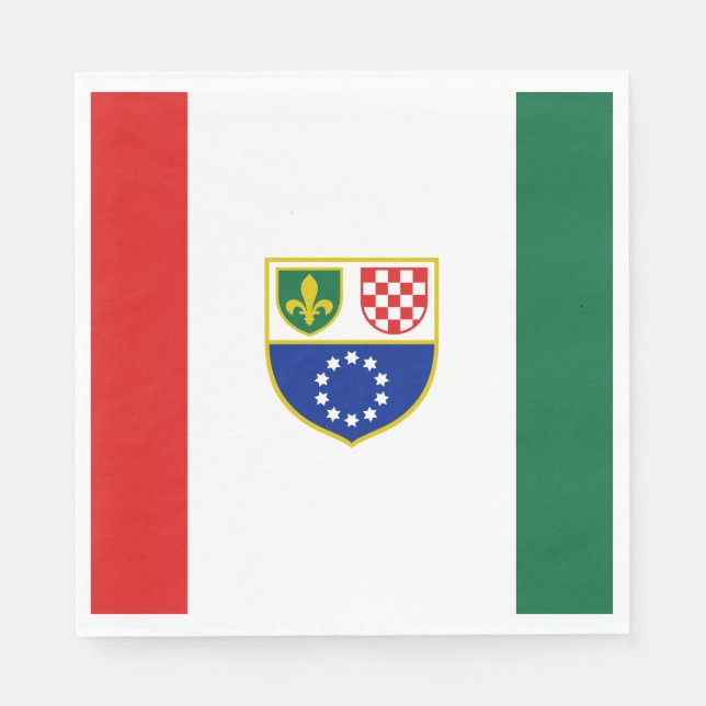 Bosnia Herzegovina Federation Flag Napkins (Front)