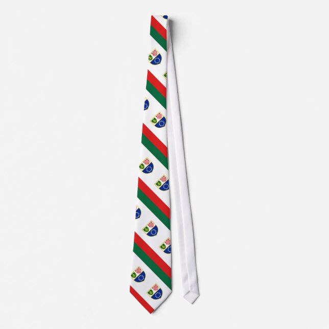 Bosnia Herzegovina Federation Flag Neck Tie (Front)