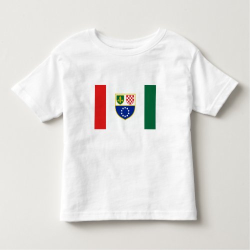 Bosnia Herzegovina Federation Flag Toddler T_shirt