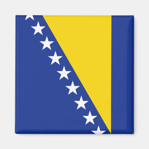 Bosnia Herzegovina Flag Magnet