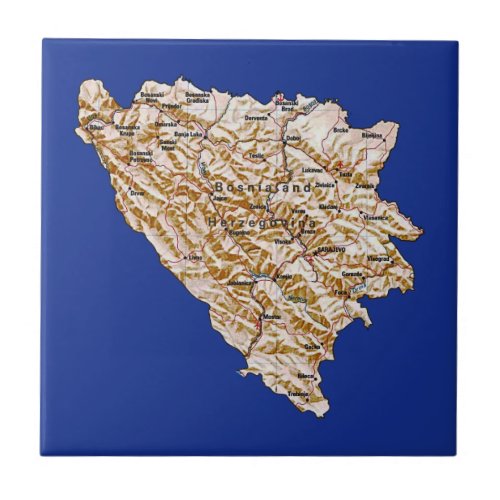 Bosnia Herzegovina Map Tile